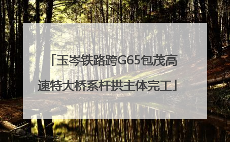 玉岑铁路跨G65包茂高速特大桥系杆拱主体完工