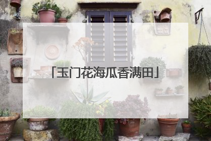 玉门花海瓜香满田