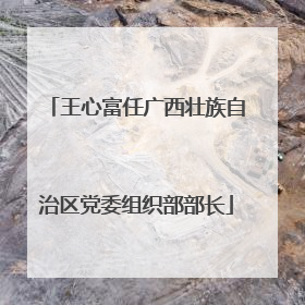 王心富任广西壮族自治区党委组织部部长