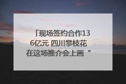 现场签约合作136亿元 四川攀枝花在这场推介会上画“图谱”列“清单”