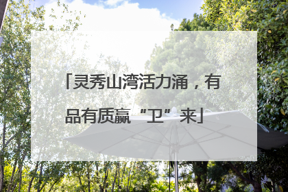 灵秀山湾活力涌，有品有质赢“卫”来