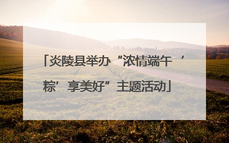 炎陵县举办“浓情端午‘粽’享美好”主题活动
