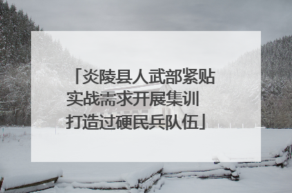 炎陵县人武部紧贴实战需求开展集训 打造过硬民兵队伍
