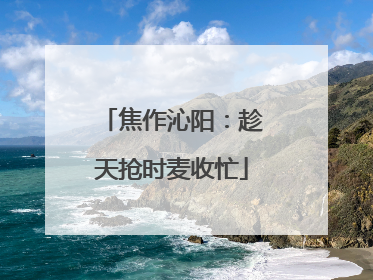 焦作沁阳：趁天抢时麦收忙