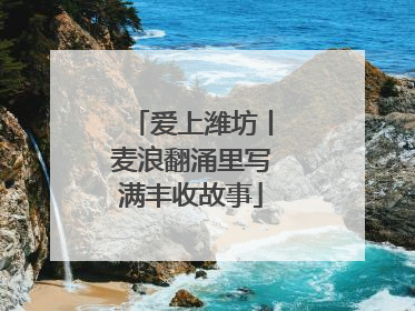 爱上潍坊丨麦浪翻涌里写满丰收故事