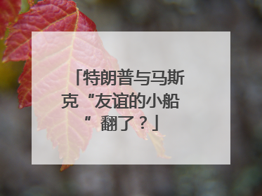 特朗普与马斯克“友谊的小船”翻了？