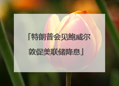 特朗普会见鲍威尔 敦促美联储降息