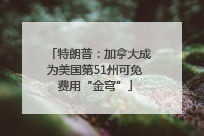 特朗普：加拿大成为美国第51州可免费用“金穹”