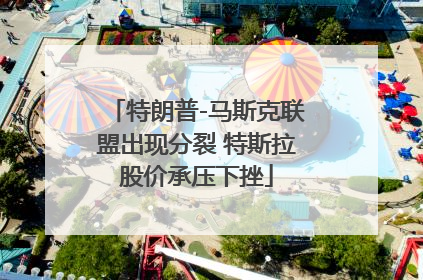 特朗普-马斯克联盟出现分裂 特斯拉股价承压下挫