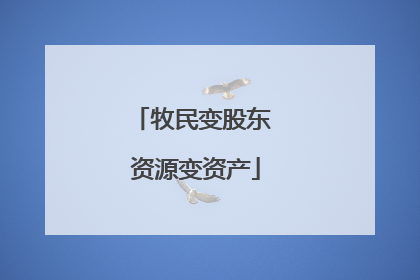 牧民变股东 资源变资产