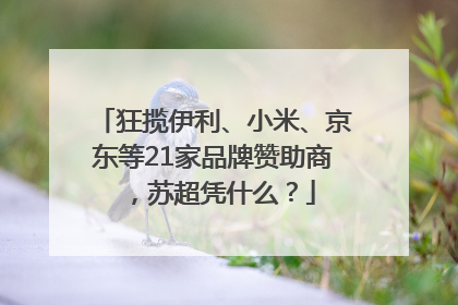 狂揽伊利、小米、京东等21家品牌赞助商，苏超凭什么？