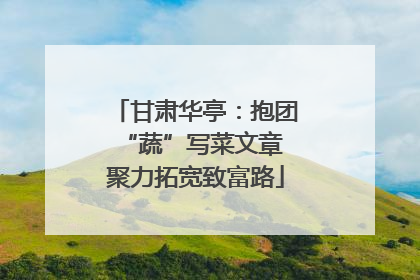 甘肃华亭：抱团“蔬”写菜文章 聚力拓宽致富路