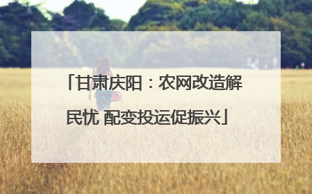 甘肃庆阳：农网改造解民忧 配变投运促振兴