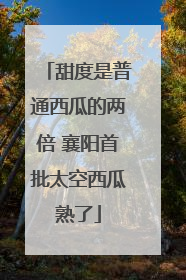 甜度是普通西瓜的两倍 襄阳首批太空西瓜熟了