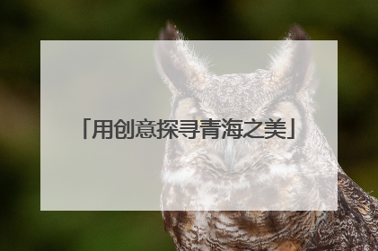 用创意探寻青海之美