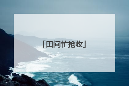 田间忙抢收