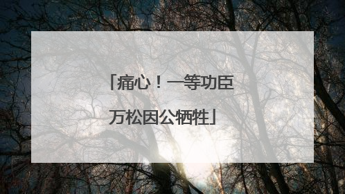 痛心！一等功臣万松因公牺牲