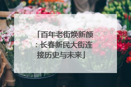 百年老街焕新颜：长春新民大街连接历史与未来