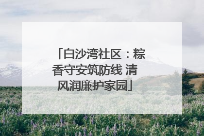 白沙湾社区：粽香守安筑防线 清风润廉护家园