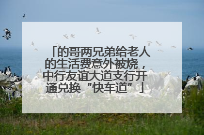 的哥两兄弟给老人的生活费意外被烧，中行友谊大道支行开通兑换“快车道”