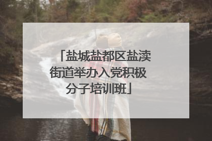 盐城盐都区盐渎街道举办入党积极分子培训班