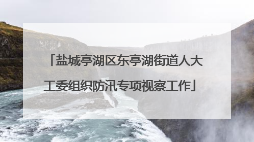 盐城亭湖区东亭湖街道人大工委组织防汛专项视察工作