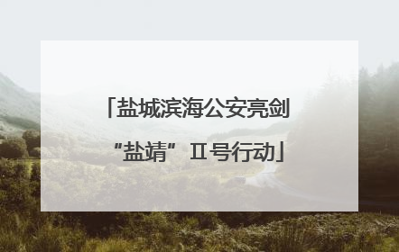 盐城滨海公安亮剑“盐靖”Ⅱ号行动