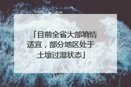 目前全省大部墒情适宜，部分地区处于土壤过湿状态