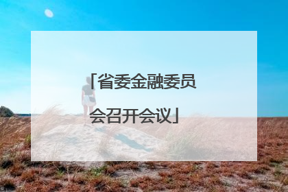 省委金融委员会召开会议