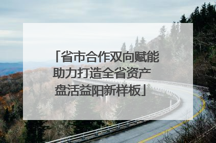 省市合作双向赋能 助力打造全省资产盘活益阳新样板