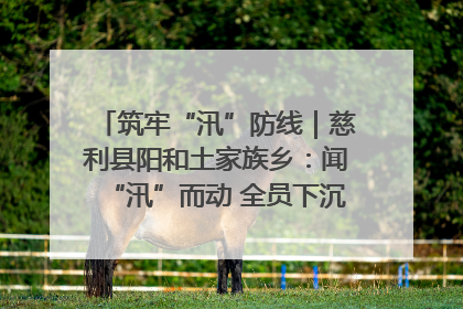 筑牢“汛”防线｜慈利县阳和土家族乡：闻“汛”而动 全员下沉筑牢防汛“安全堤”