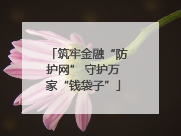 筑牢金融“防护网” 守护万家“钱袋子”