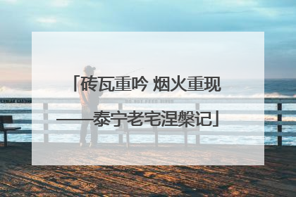 砖瓦重吟 烟火重现——泰宁老宅涅槃记