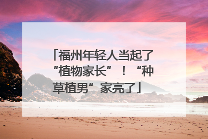 福州年轻人当起了“植物家长”！“种草植男”家亮了