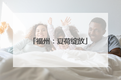 福州：夏荷绽放
