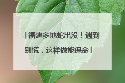 福建多地蛇出没！遇到别慌，这样做能保命