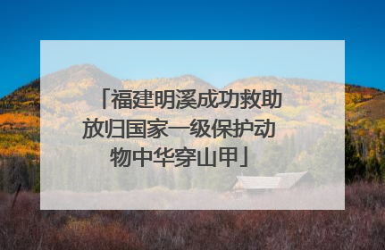 福建明溪成功救助放归国家一级保护动物中华穿山甲