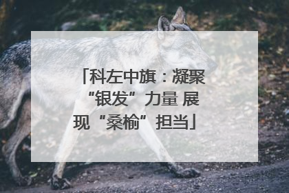科左中旗：凝聚“银发”力量 展现“桑榆”担当