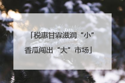 税惠甘霖滋润“小”香瓜闯出“大”市场