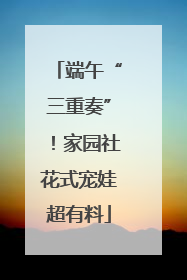 端午“三重奏”！家园社花式宠娃超有料