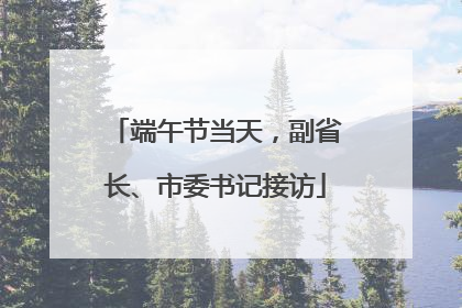 端午节当天，副省长、市委书记接访