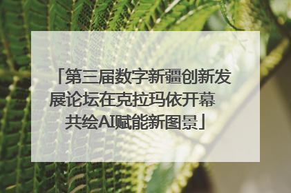 第三届数字新疆创新发展论坛在克拉玛依开幕 共绘AI赋能新图景