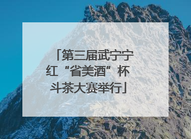第三届武宁宁红“省美酒”杯斗茶大赛举行