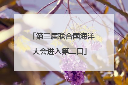 第三届联合国海洋大会进入第二日