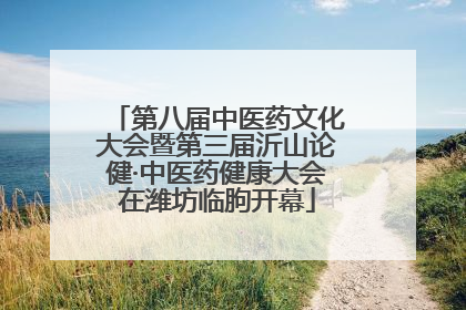 第八届中医药文化大会暨第三届沂山论健·中医药健康大会在潍坊临朐开幕