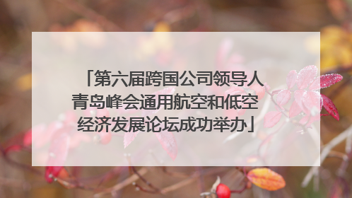第六届跨国公司领导人青岛峰会通用航空和低空经济发展论坛成功举办
