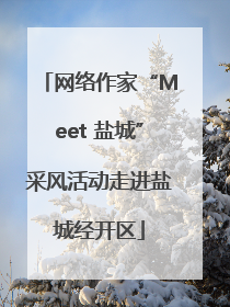 网络作家“Meet 盐城”采风活动走进盐城经开区