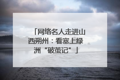 网络名人走进山西朔州：看塞上绿洲“破茧记”