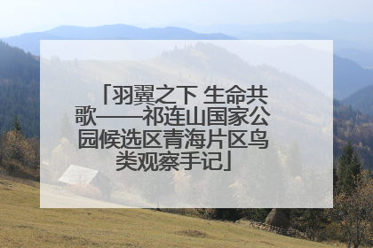 羽翼之下 生命共歌——祁连山国家公园候选区青海片区鸟类观察手记