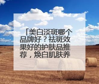 美白淡斑哪个品牌好？祛斑效果好的护肤品推荐，焕白肌肤养成系！